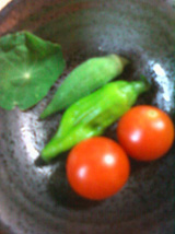2010.7.27収穫分.jpg