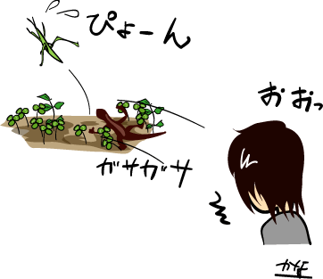 ra1.gif